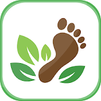 Effects of Walking
