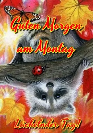 Guten Morgen am Montag Screenshot 3