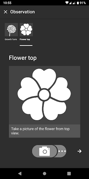 Flora Incognita - automated plant identification Screenshot 2