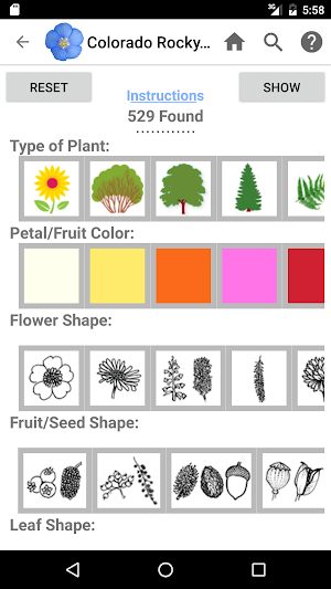 Colorado Rocky Mountain Wildflowers Screenshot 1