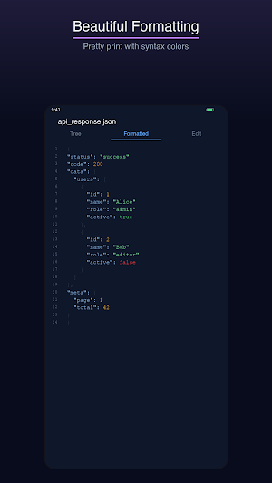 JSON Viewer & Editor Screenshot 2