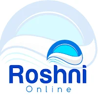Roshni Online Professional