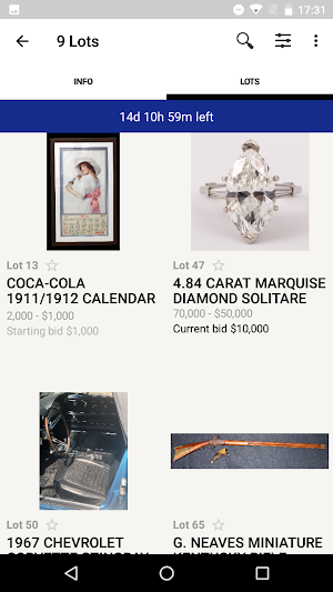 Opfer Auction Online Screenshot 2