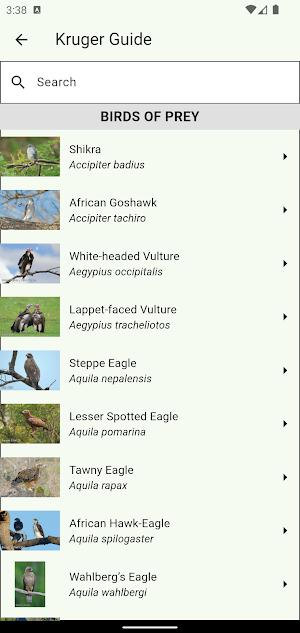 Animals of Kruger Screenshot 1