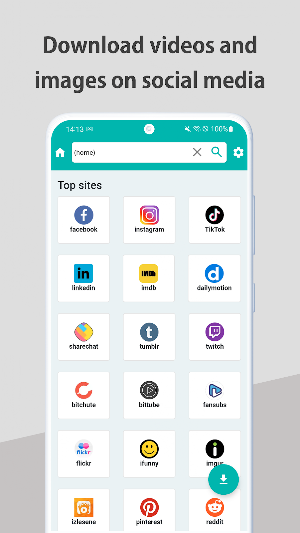 Video Downloader Pro - Browser Screenshot 0