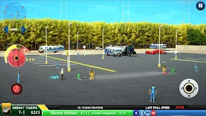 Street Cricket Championship Screenshot 3