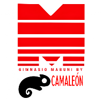MABUNI GIMNASIO CON PISCINA