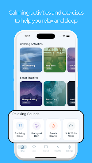 Restori Journal & Mood Tracker Screenshot 1