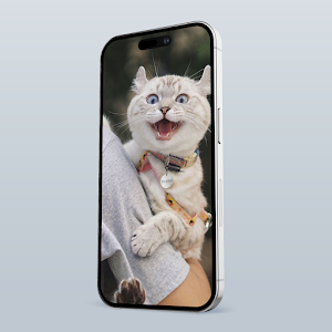 Sweet Cat Screenshot 2