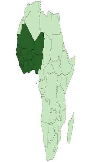 West Africa Screenshot 1