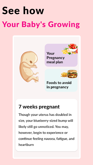 Pregnancy Tracker & Calculator Screenshot 1