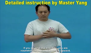 Qigong Self-Massage Lesson Screenshot 3
