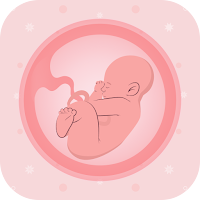Pregnancy Tracker & Day by Day