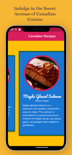 Canadian Recipes Screenshot 2