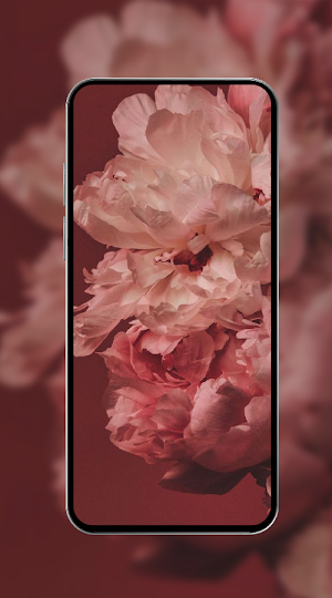 HD Wallpapers Pro Screenshot 2