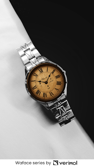 Waface AW15 - Vintage Antique Screenshot 2