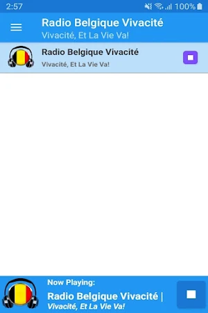 Radio Belgique Vivacité App Screenshot 0