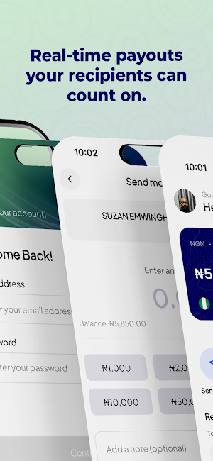 Finlogic Screenshot 3