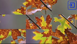 Video Puzzle Screenshot 1