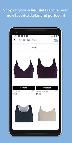 Bleuet Screenshot 2