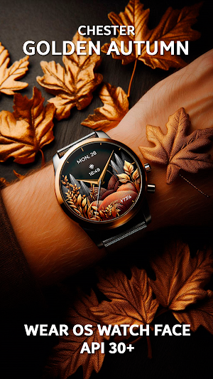 Chester Golden Autumn Screenshot 0