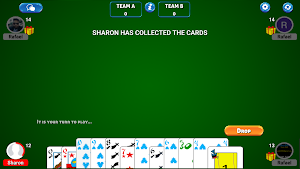 Tichu Pro Screenshot 1