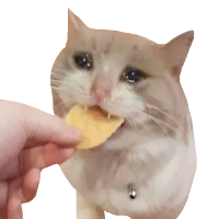WAStickerApps Stickers Cats