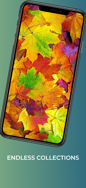 Autumn wallpaper-4k Background Screenshot 2
