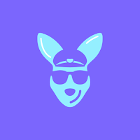 Ride Skipper: On-Demand Driver