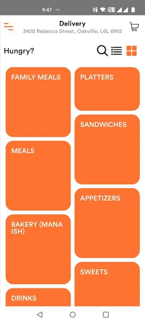 Ornina Kebab Screenshot 1