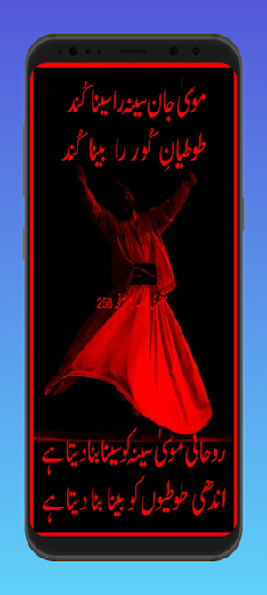 Urdu Poetry Screenshot 3