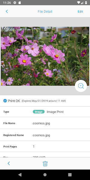 Network Print Screenshot 2