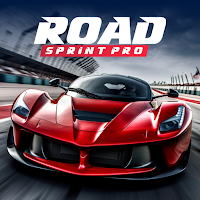 Road Sprint Pro