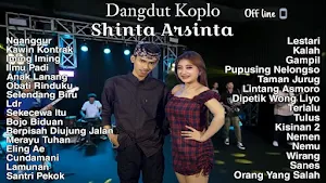 Nganggur Shinta Arsinta Ofline Screenshot 1
