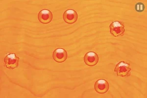 Salmon Roe Screenshot 2
