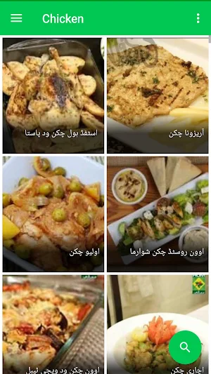 Chicken Recipes in Urdu Screenshot 2