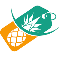 Abacaxi Importados