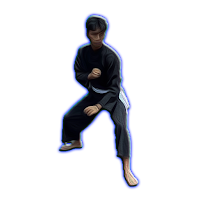 Belajar Silat