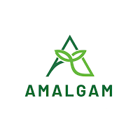 Amalgam