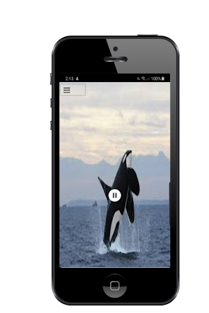Orca Sound Screenshot 0