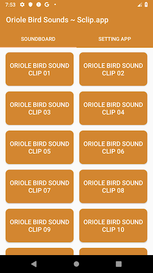 Oriole Bird Sound Collections ~ Sclip.app Screenshot 0