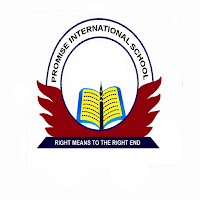 PROMISE INTERNATIONAL SCHOOL