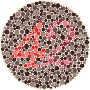 Color Blind Test Screenshot 2