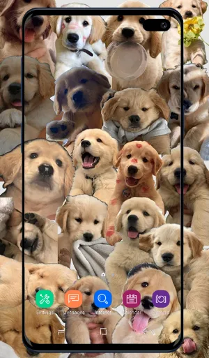 Puppy Wallpaper Screenshot 3