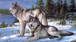 Wolf Simulator 3d Animal Games Screenshot 1
