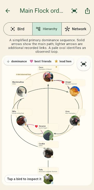 Pecking Order Screenshot 0