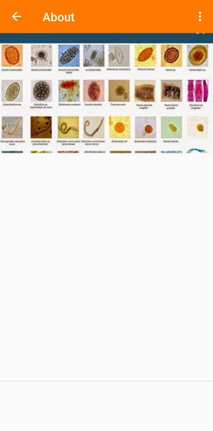 INTRODUCTION TO PARASITOLOGY Screenshot 2