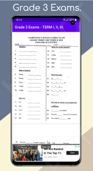 Grade 3 Exams: Term I, II, III Screenshot 1