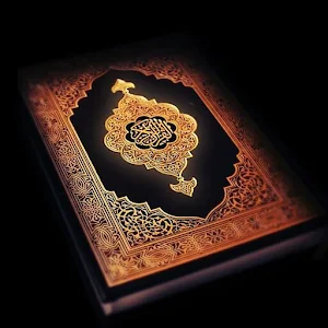Qur'an Majeed Urdu Hindi Screenshot 0