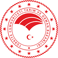 Ava Avcı